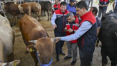 Kurban Bayramı &ouml;ncesi 4 milyonu aşkın hayvan denetlendi