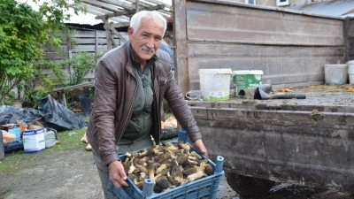 Yanan ormandan adeta para fışkırdı: K&ouml;yl&uuml;ler ellerinde sopalarla peşine d&uuml;şt&uuml;!